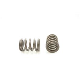 VALVE SPRING