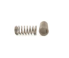 VALVE SPRING