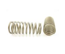 VALVE SPRING