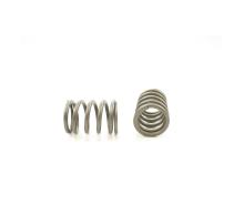 VALVE SPRING