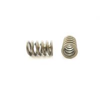 VALVE SPRING