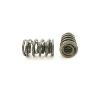 VALVE SPRING